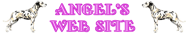 Angel's Logo