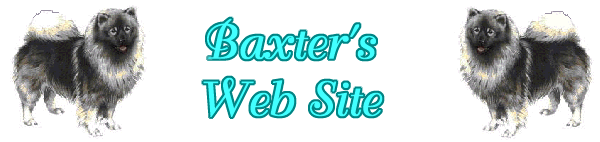 Baxter's Logo