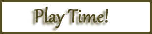 Play Time Logo