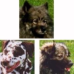 Play Time Pictures